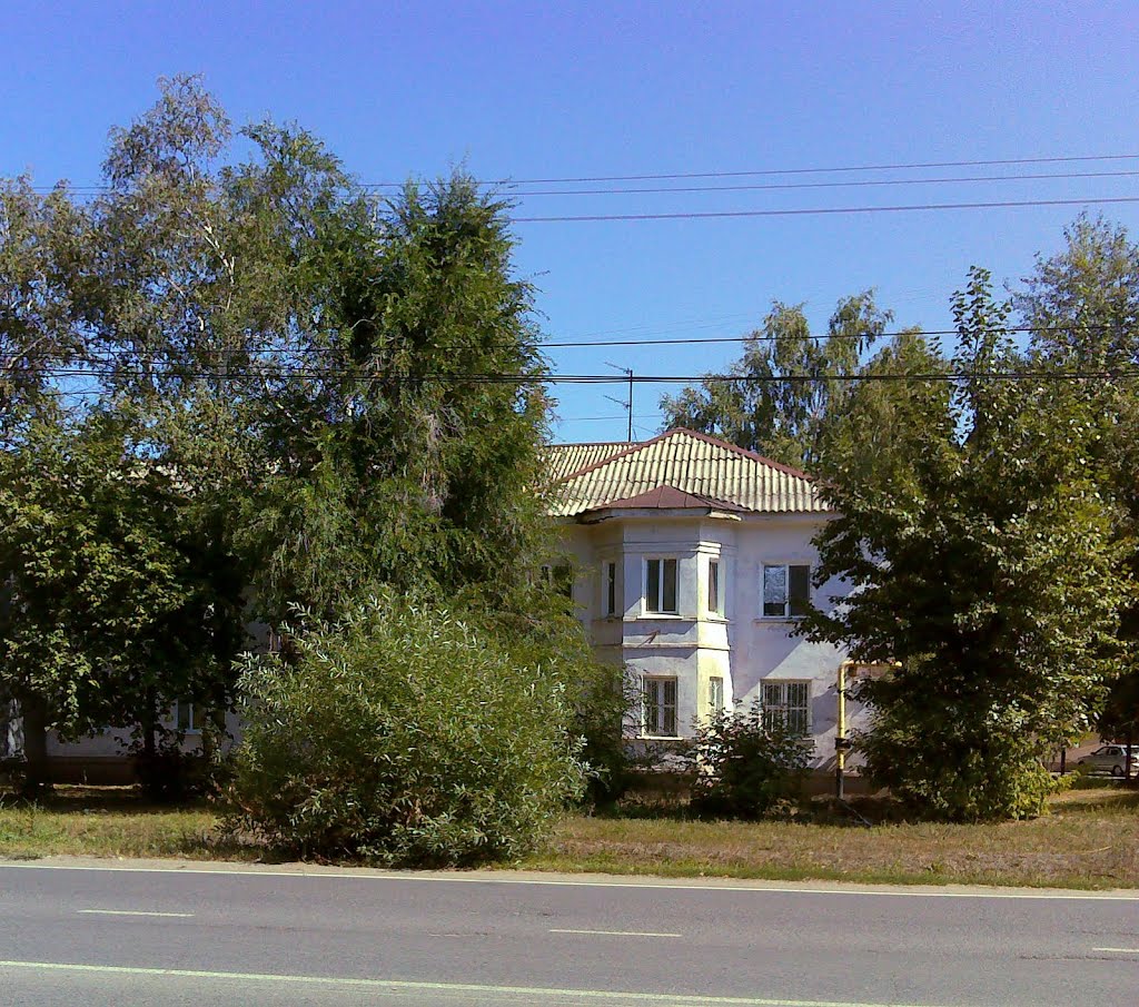 ул. Куйбышева, 293, Димитровград, Димитровград