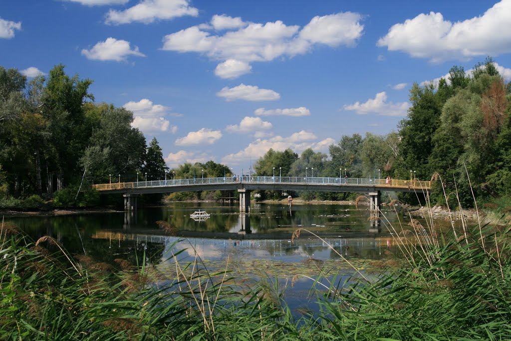 Маркво Пруд в Димитровграде: Природный Уголок Природные истории Фотогалерея прир