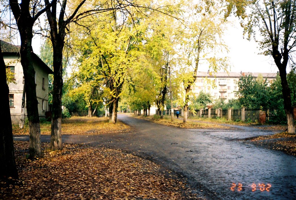 Инза, Диатомовый комбинат, улица Менделеева, вид от остановки, 2002 год, Инза