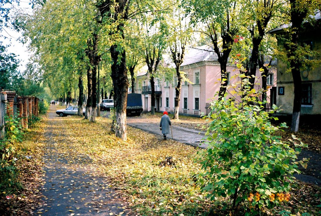 Инза, Диатомовый комбинат, вид на улицу Ломоносова, 2002 год, Инза