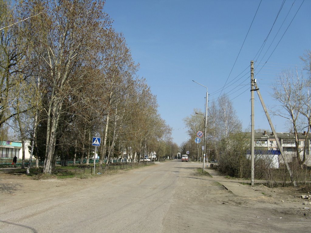 Улица Советская, Майна