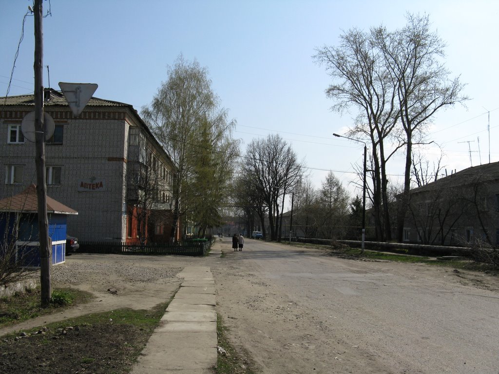 Улица Ленинская, Майна
