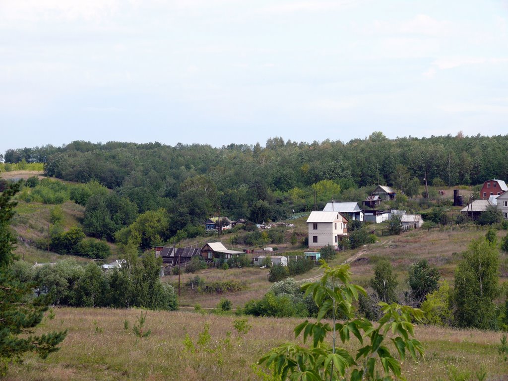 Деревня Сергеевка., Новая Малыкла