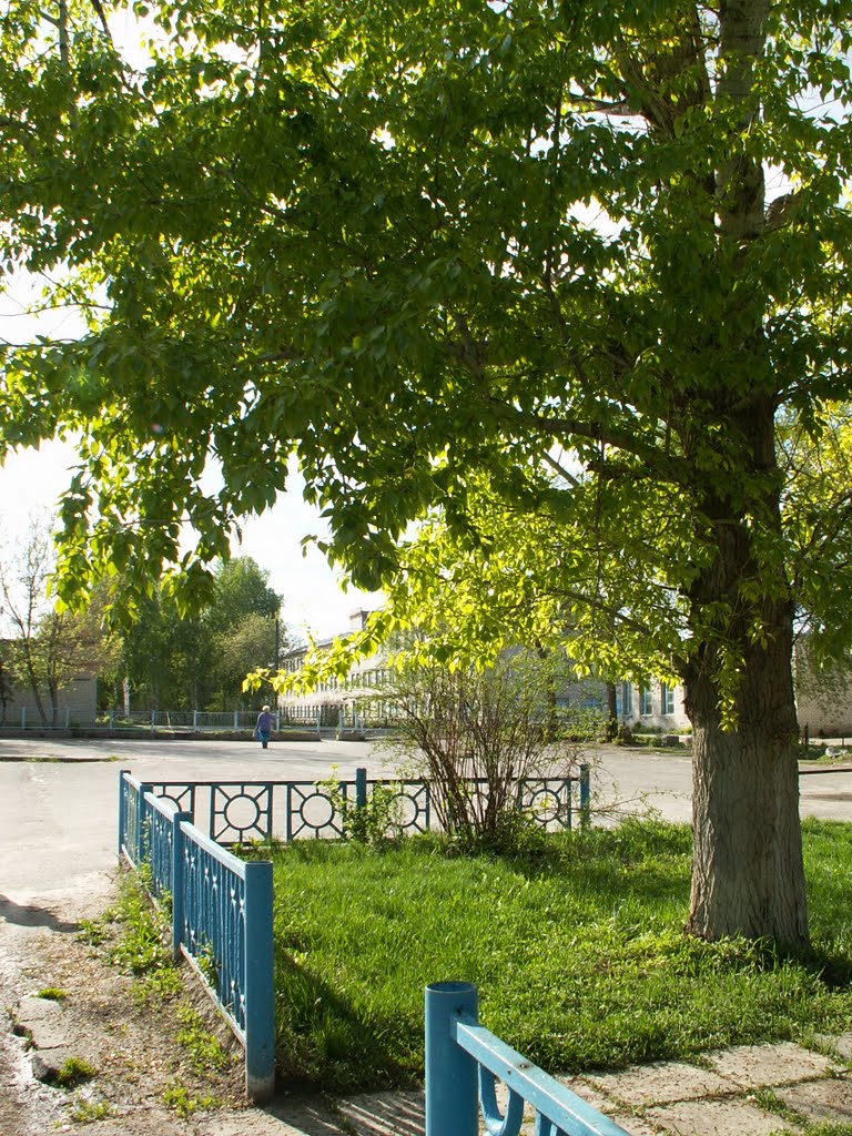 Площадь на ул.Свердлова Радищево Ульяновская обл., Радищево