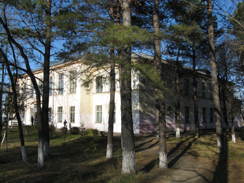 Средняя школа № 1, Вяземский