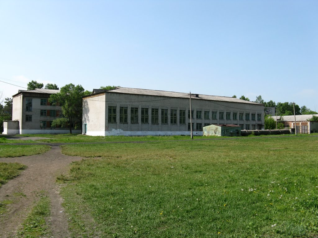 Средняя школа № 2. Стадион, Вяземский