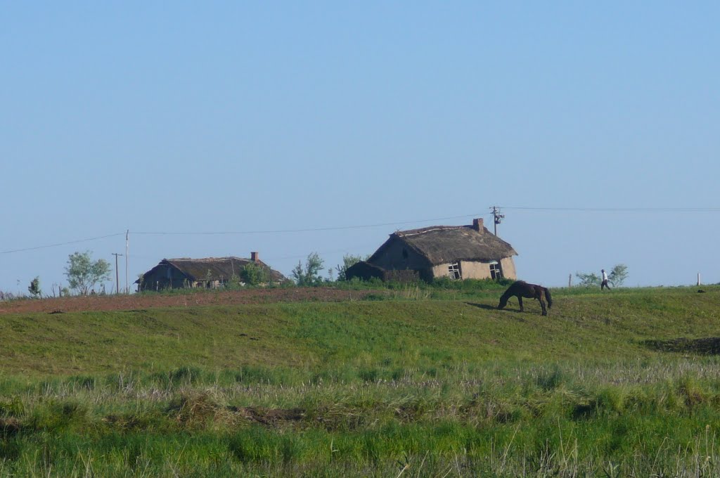 The Village Near Ussuri River, Дормидонтовка