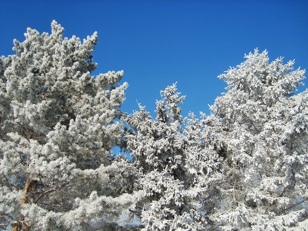 Зима в городе К., Комсомольск-на-Амуре