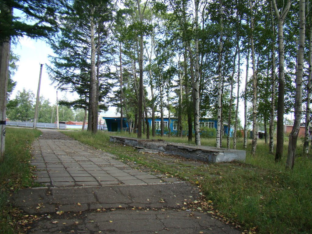 Парк. Бывшая аллея Славы (2012 год), Николаевск-на-Амуре