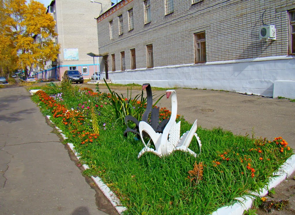 Лебеди на свободе, Николаевск-на-Амуре