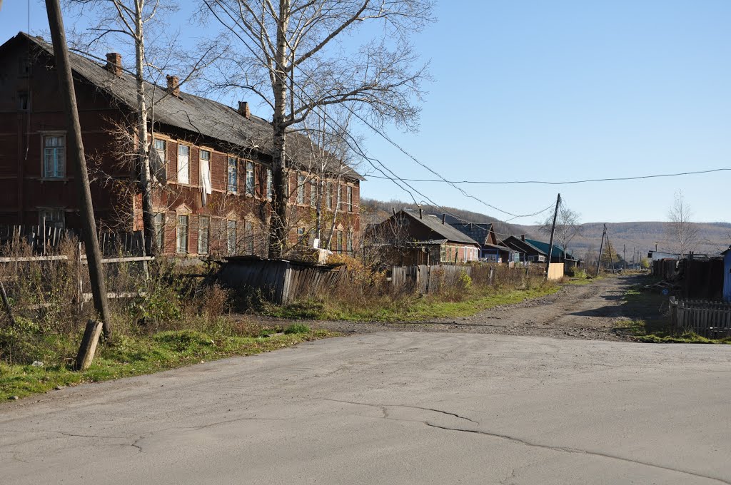 Obluchye (2012-10) - Traditional wood buildings on local road, Облучье
