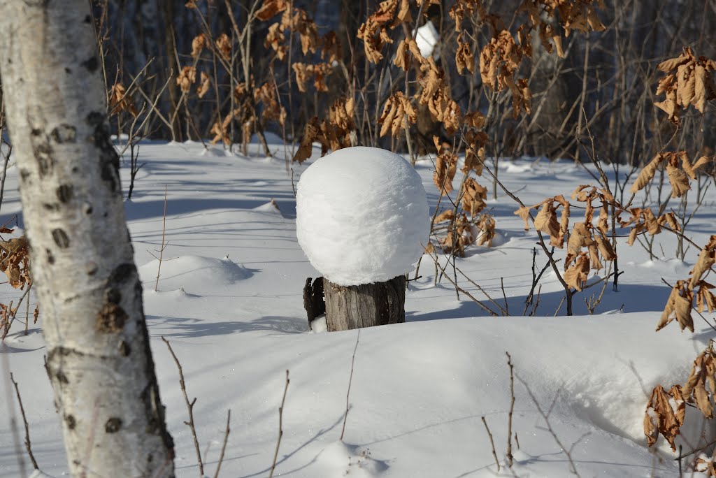 Obluchye (2013-02) - Cap of snow, Облучье