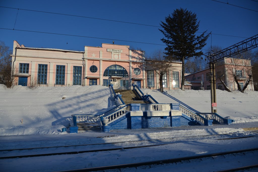 Obluchye (2013-02) - Train station in winter, Облучье