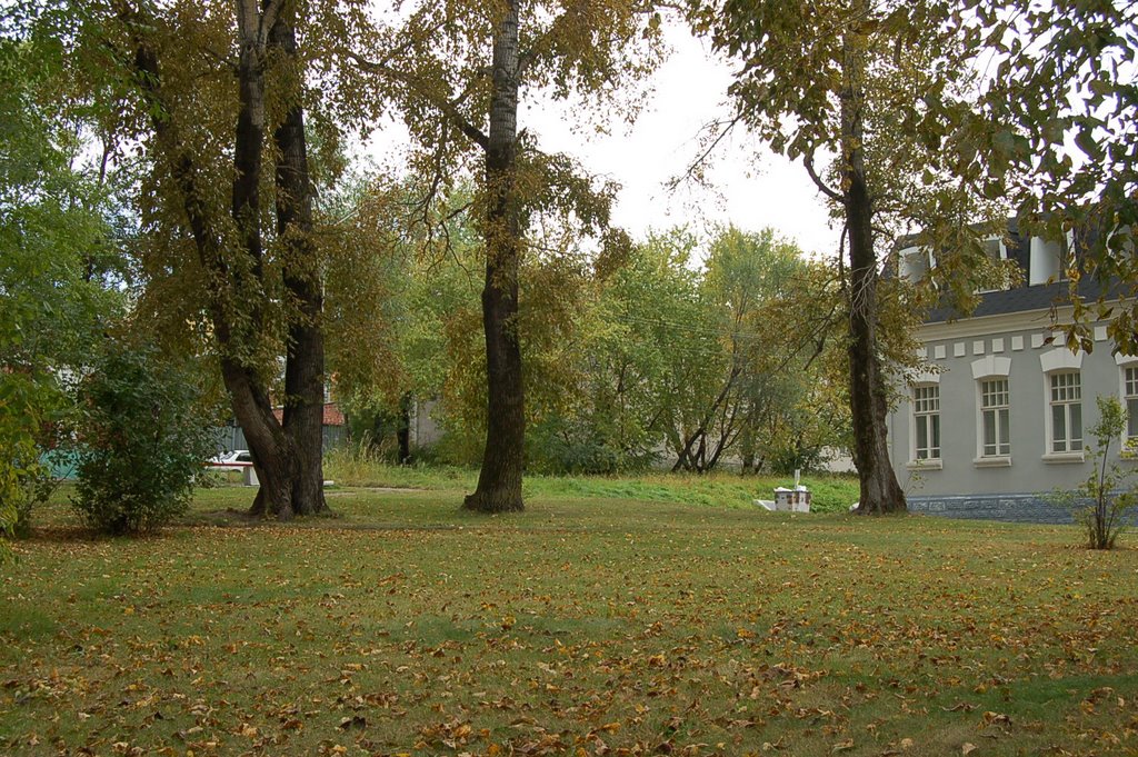 俄罗斯哈巴罗夫斯克--Tree--树, Хабаровск