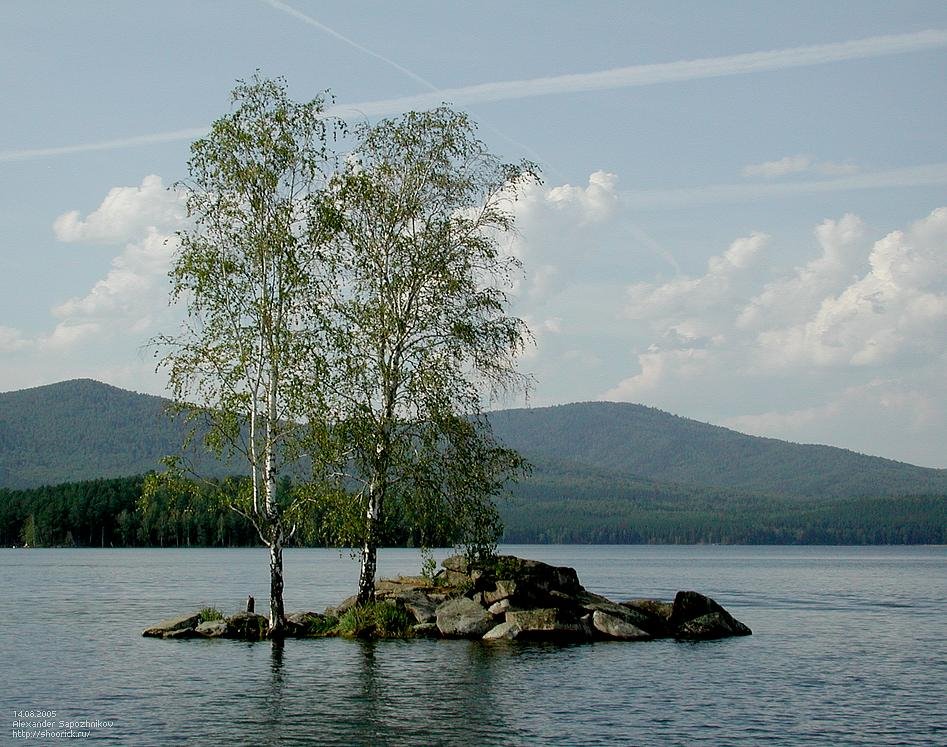 Берёзы на озере Тургояк / Birches on Lake Turgoyak, Бреды