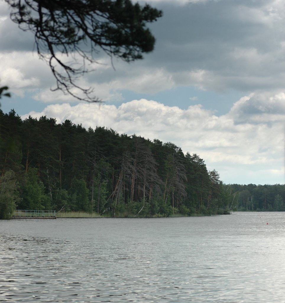 Озеро Большой Еланчик / Lake Bolshoy Elanchik, Бреды