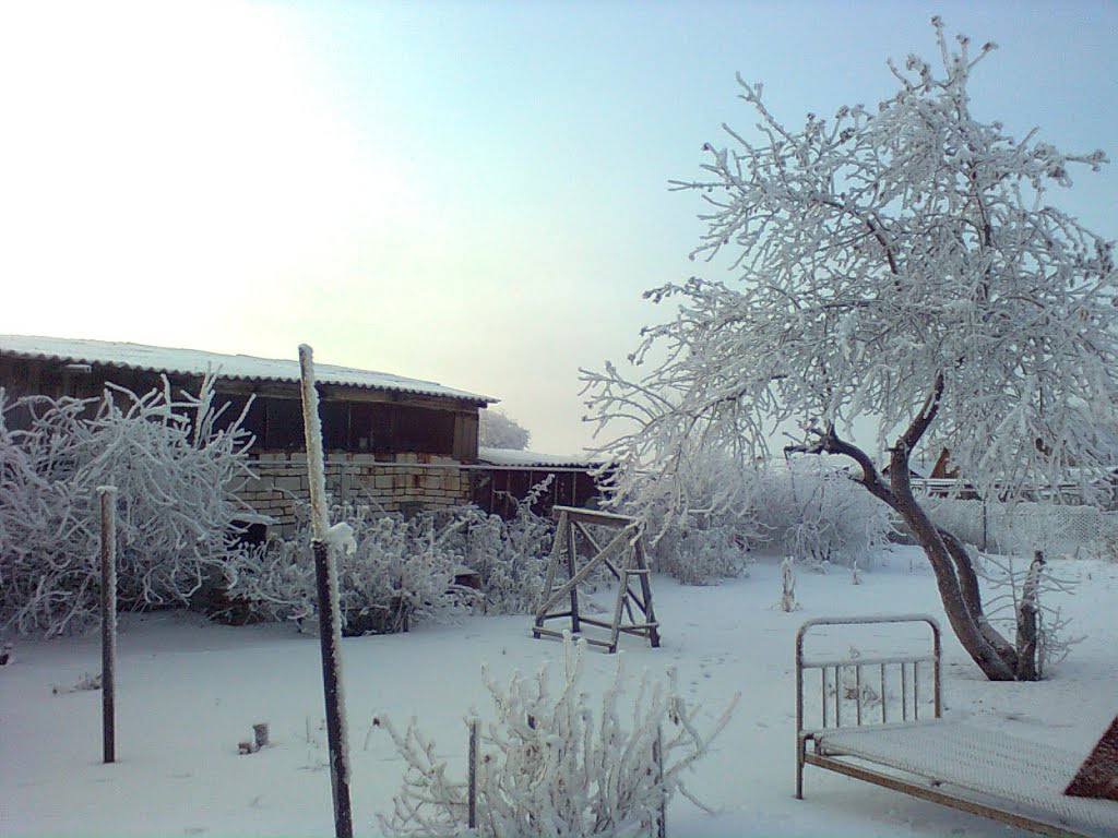 зима 2011, Варна