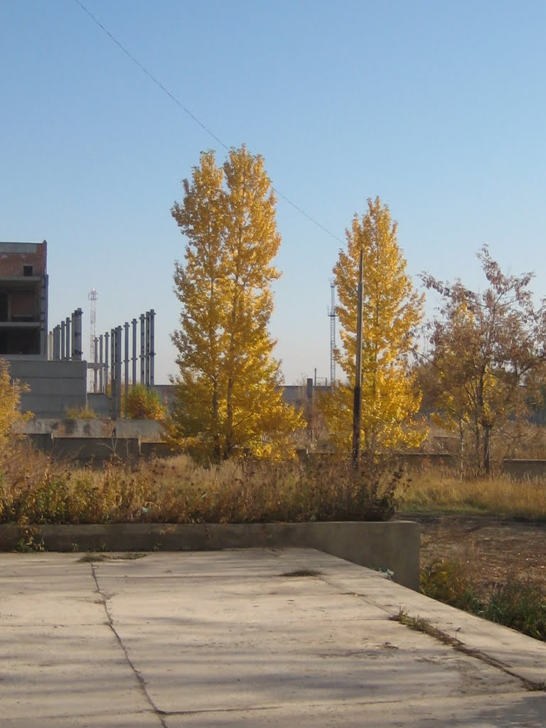 Осень, Еманжелинск