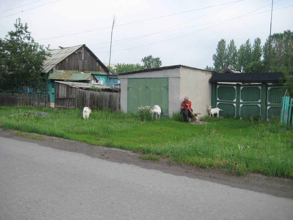козы, Еманжелинск