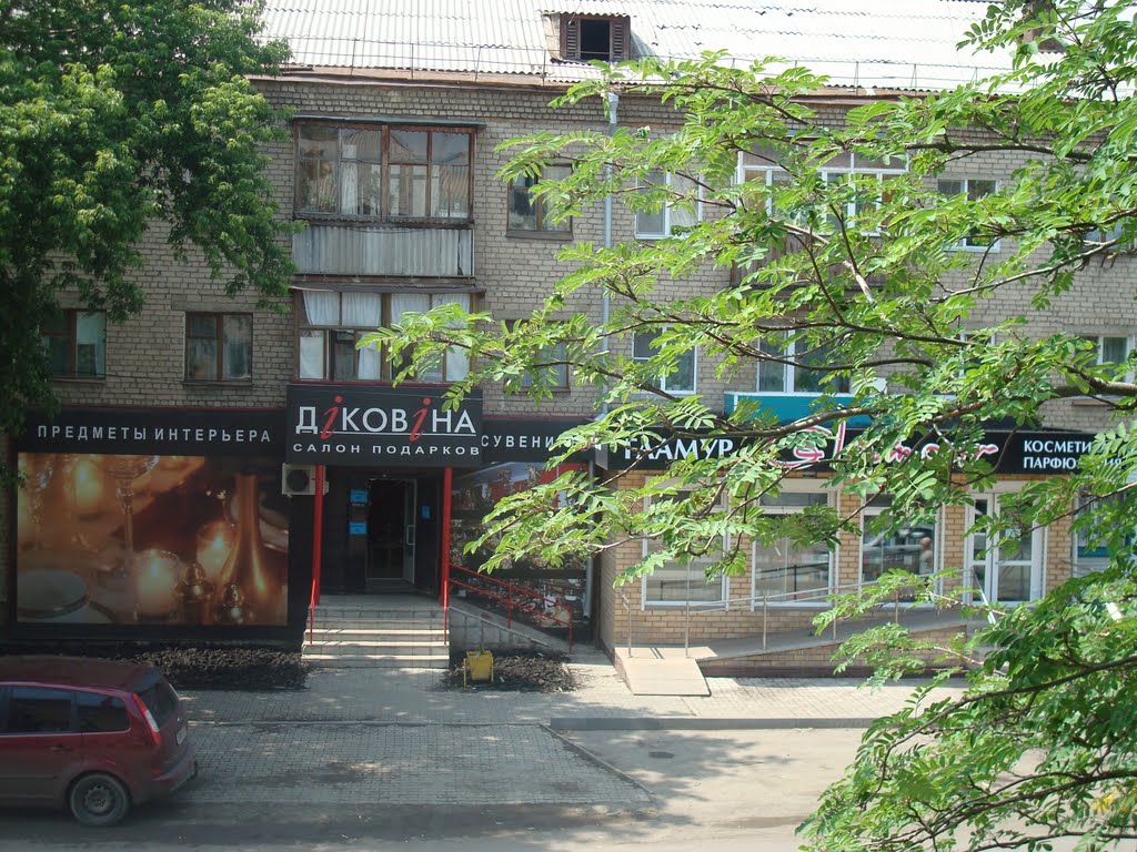 Магазин диковина, Копейск