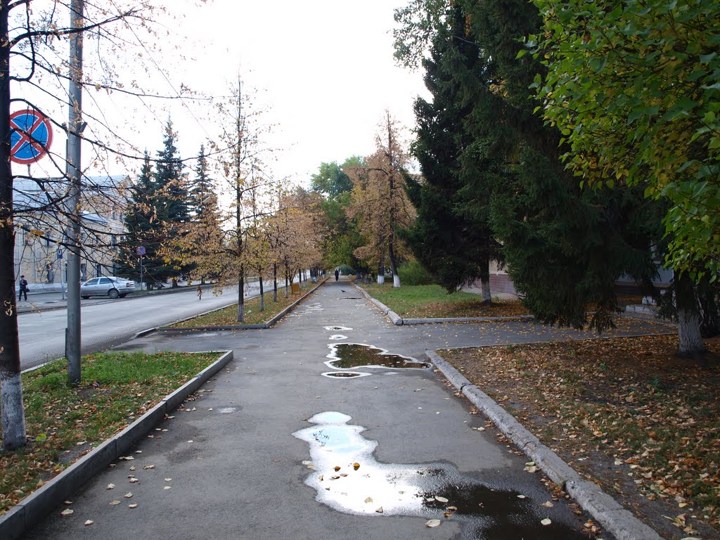 Осень на улице Ленина, Копейск
