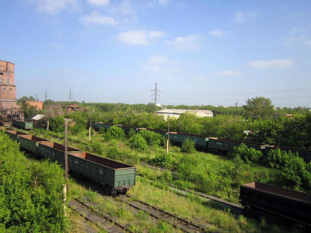 Вагоны /Wagons, Коркино