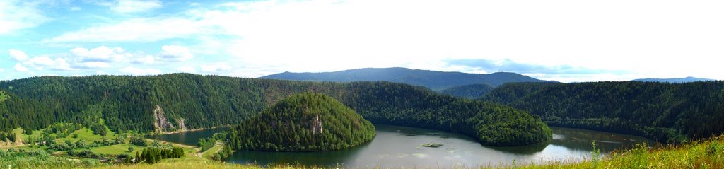 Жукова шишка фото Жукова шишка фото