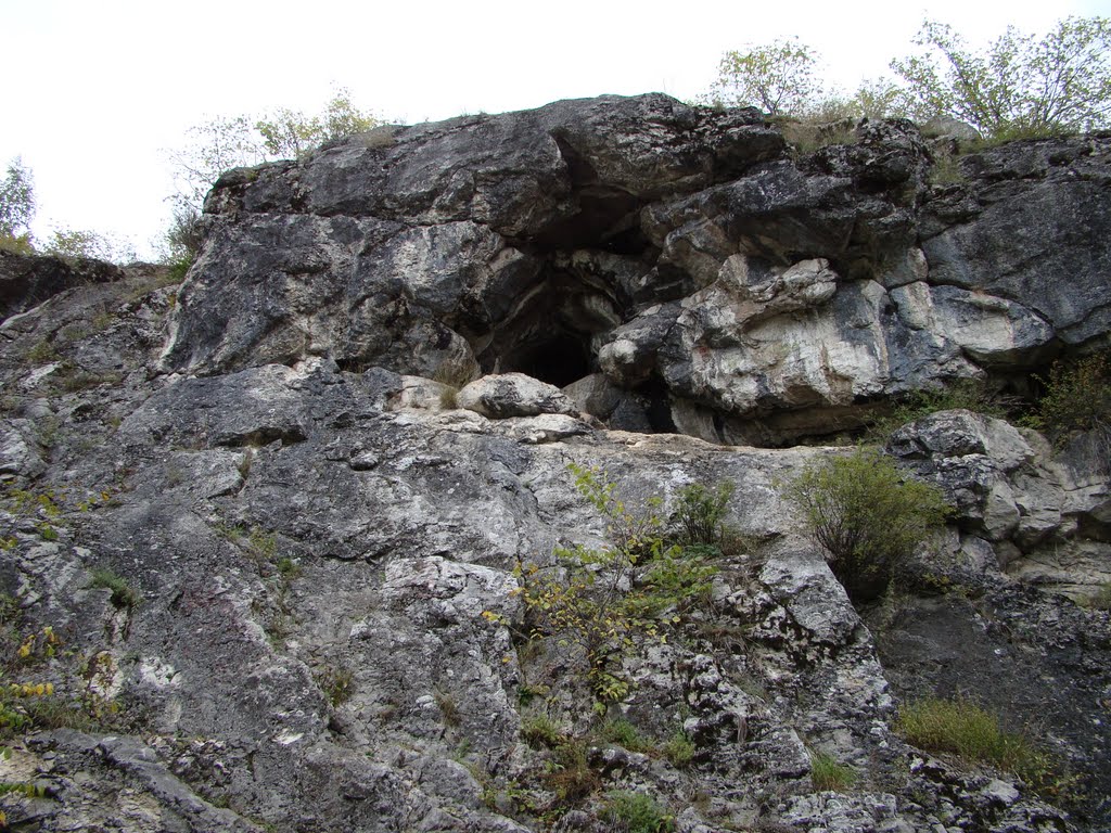 Пещера над симским прудом, Сим