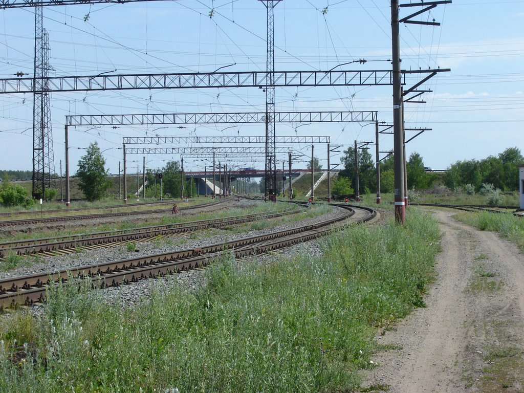 вид на мост со станции, Южно-Уральск