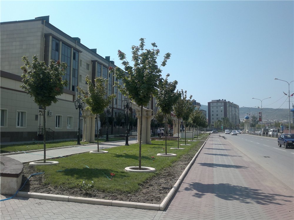 Недвижимость в Гудермесе: продажа и аренда квартир и коммерческой недвижимости -