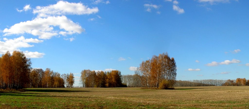 Осенние поля..., Советское