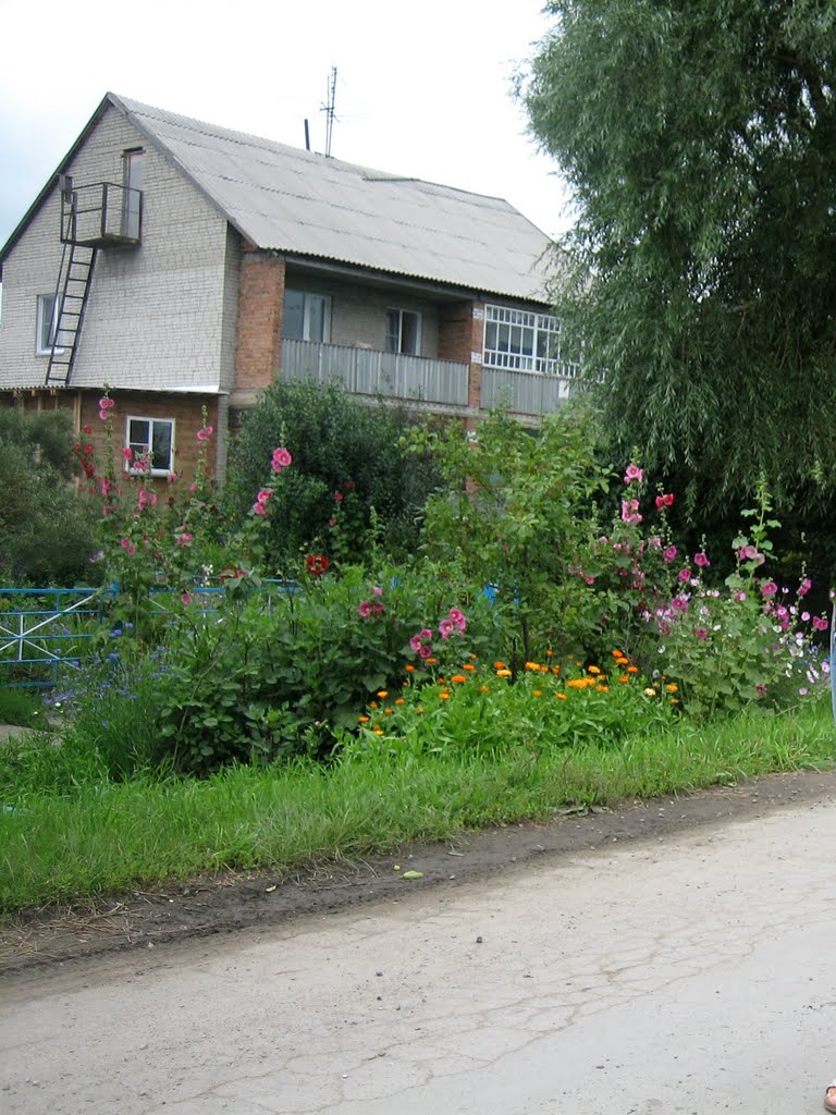 Cottage  / Ул. Полевая, 20, Советское