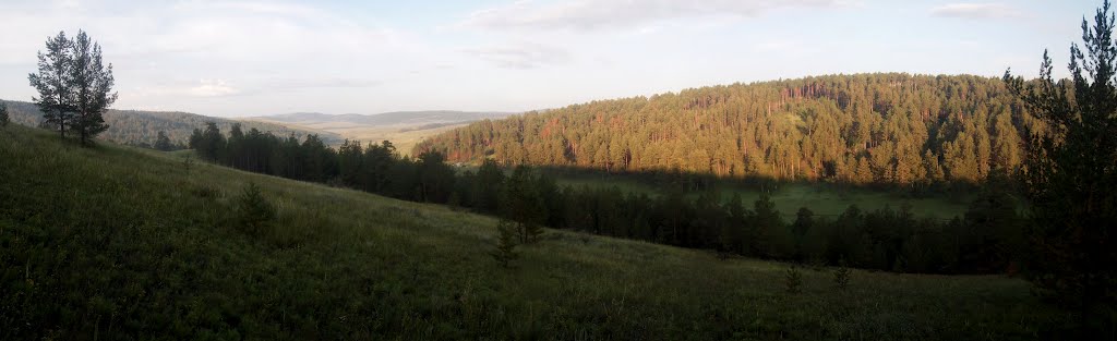 Forest in the morning, Жиндо