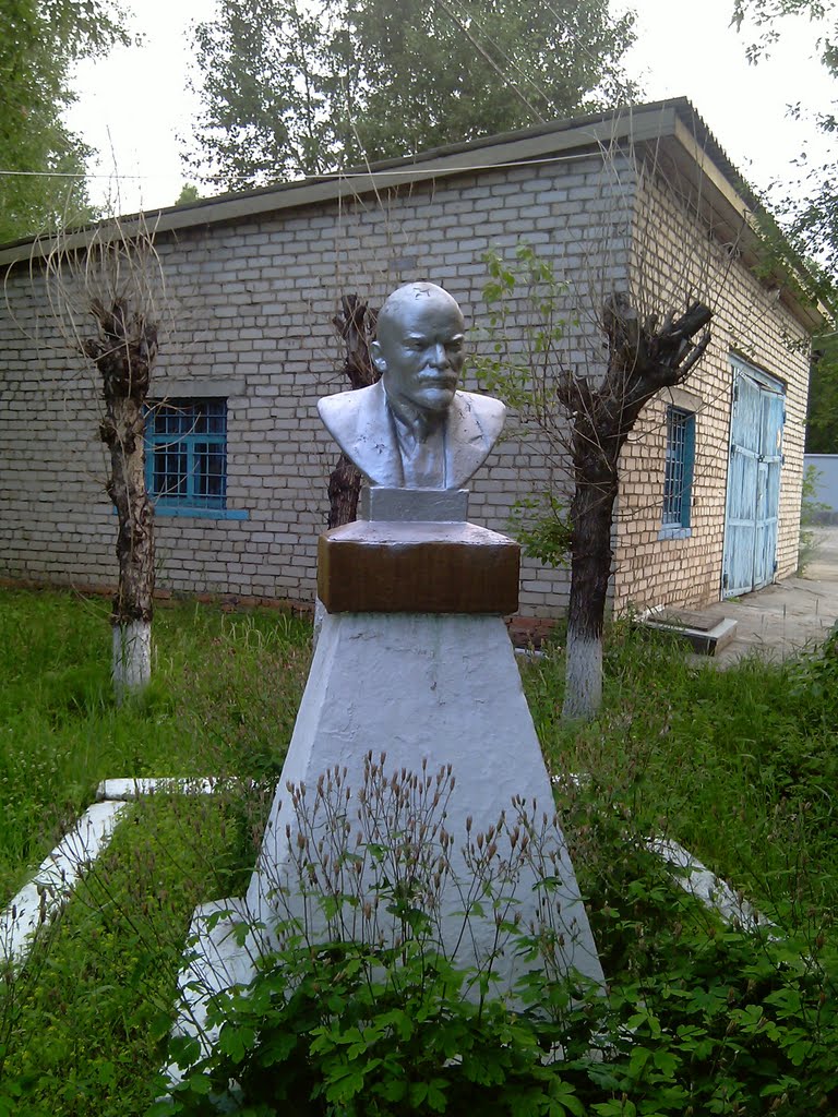 Ленин в Могоче, Могоча