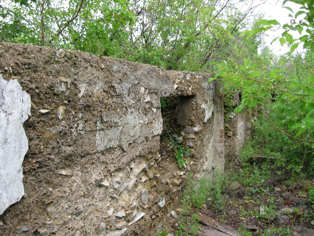 Руины на Зенитке, Нерчинский Завод