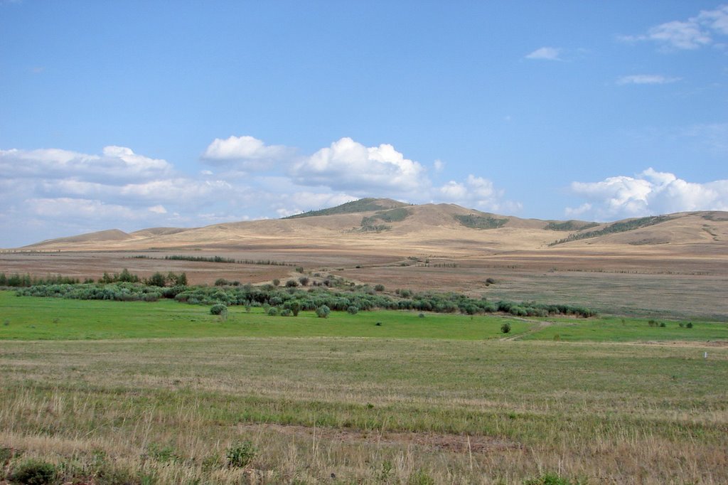 Агинская Степь (Забайкалье, Агинский Бурятский Автономный Округ, 2006); Agin steppe (Transbaikalia, Agin-Buryat Autonomous Okrug, 2006), Нижний Часучей