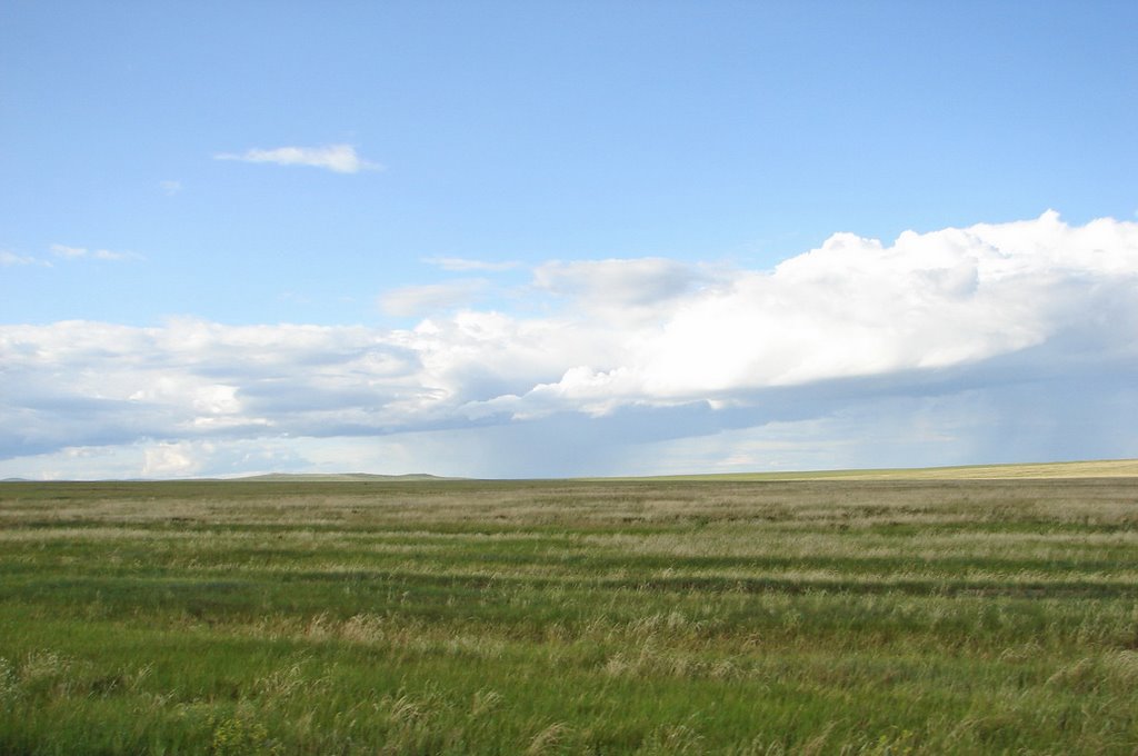 Агинская Степь (Забайкалье, Агинский Бурятский Автономный Округ, 2006); Agin steppe (Transbaikalia, Agin-Buryat Autonomous Okrug, 2006), Нижний Часучей