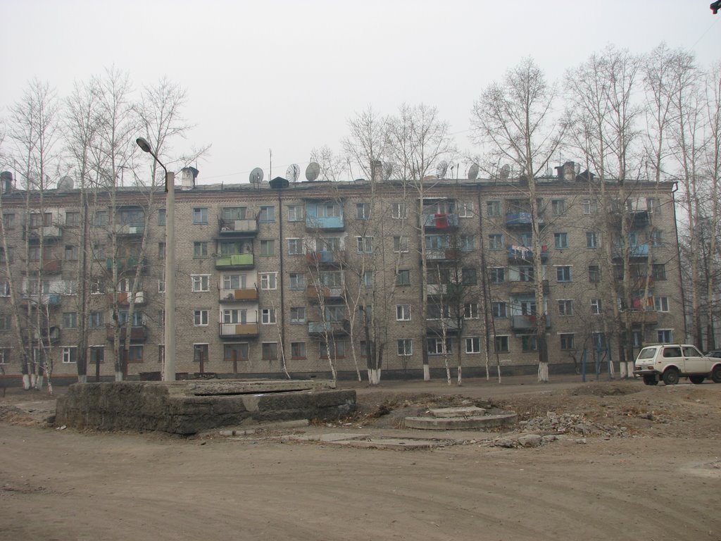 Дом01, Чернышевск