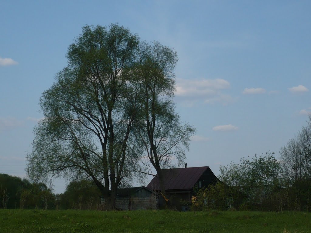 old house, Алатырь