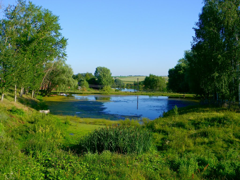 Вынуть из петли старинное алтайское село Новошипуново