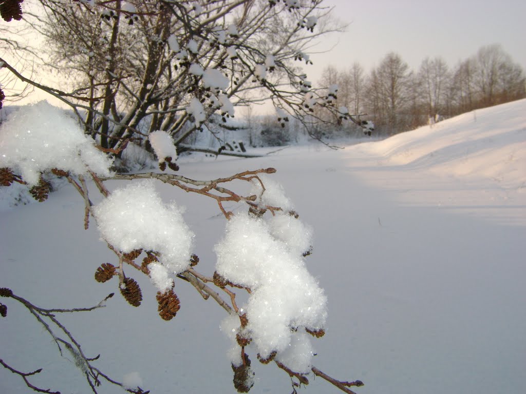 Зимнее утро, Батырева