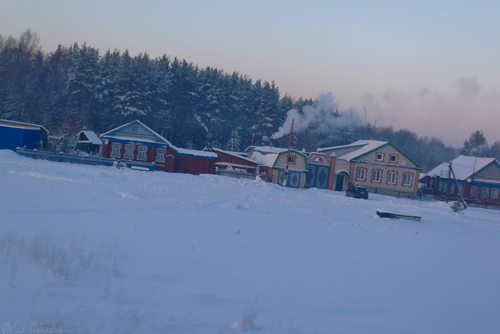 январь 2013, Буинск