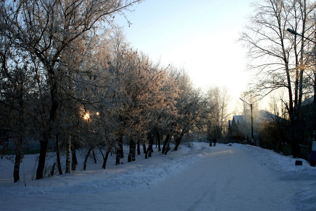 Улица Маресьева, Ибреси
