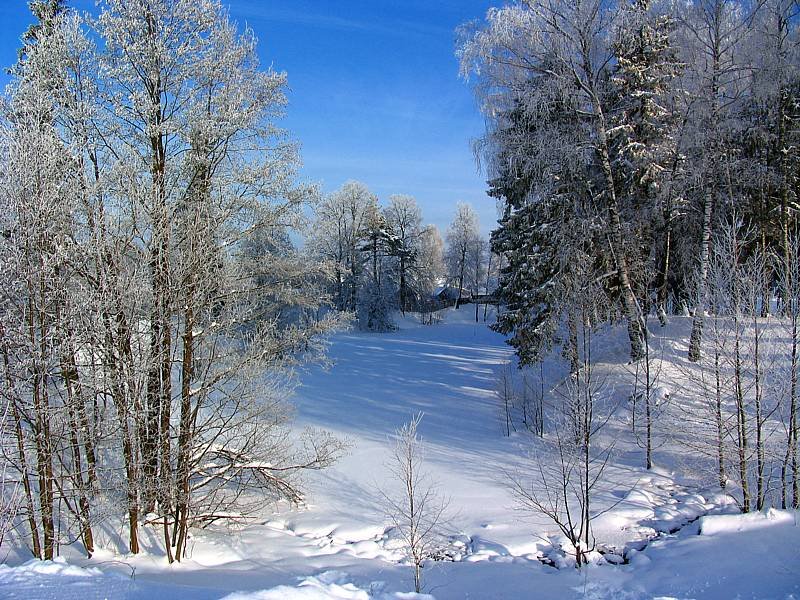 зима(winter), Киря