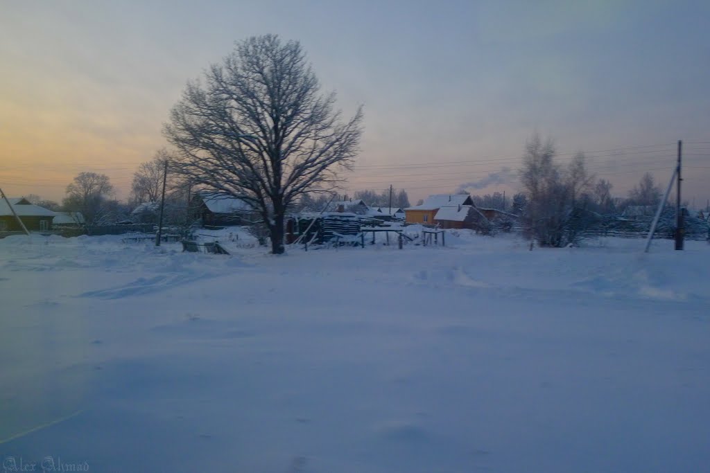 зима 2013, Киря