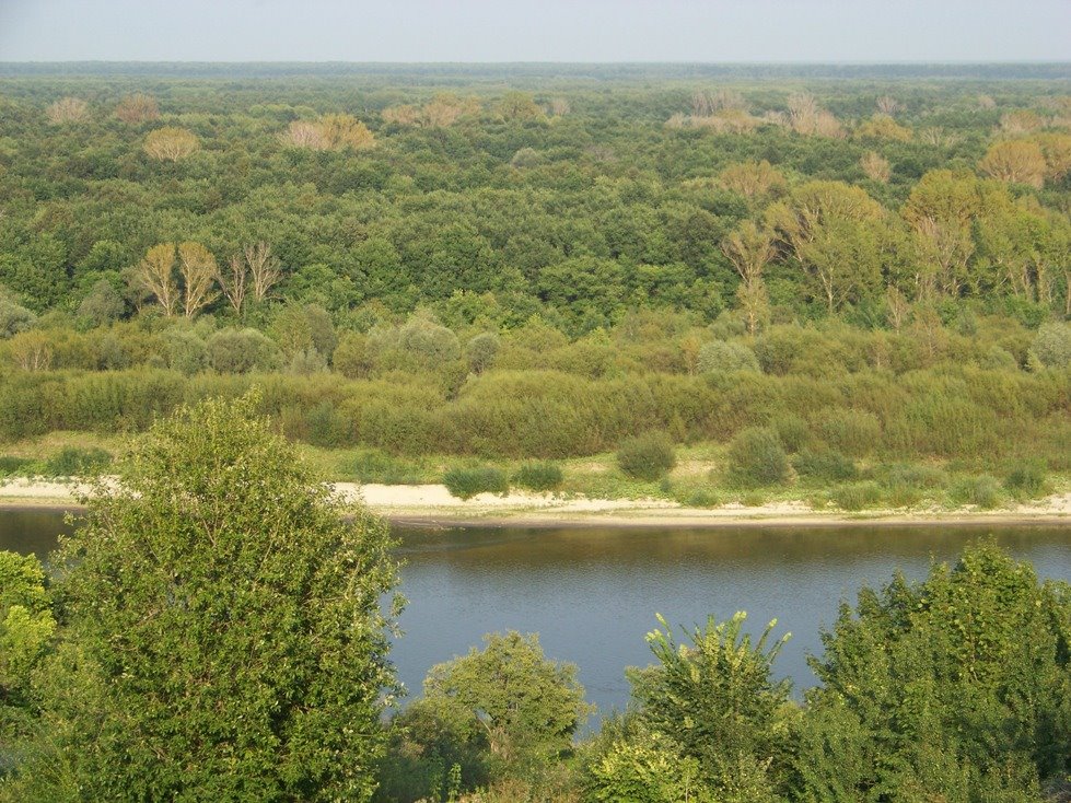 Sura river Река Сура Вид из с. Порецкое, Порецкое