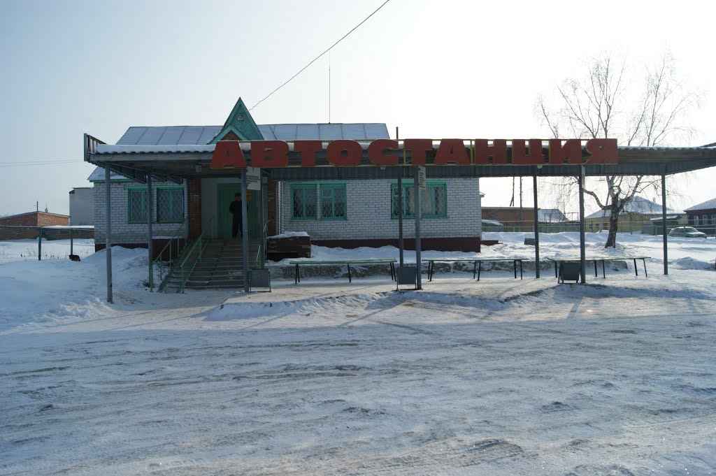 Порецкое, автостанция (февраль 2013), Порецкое