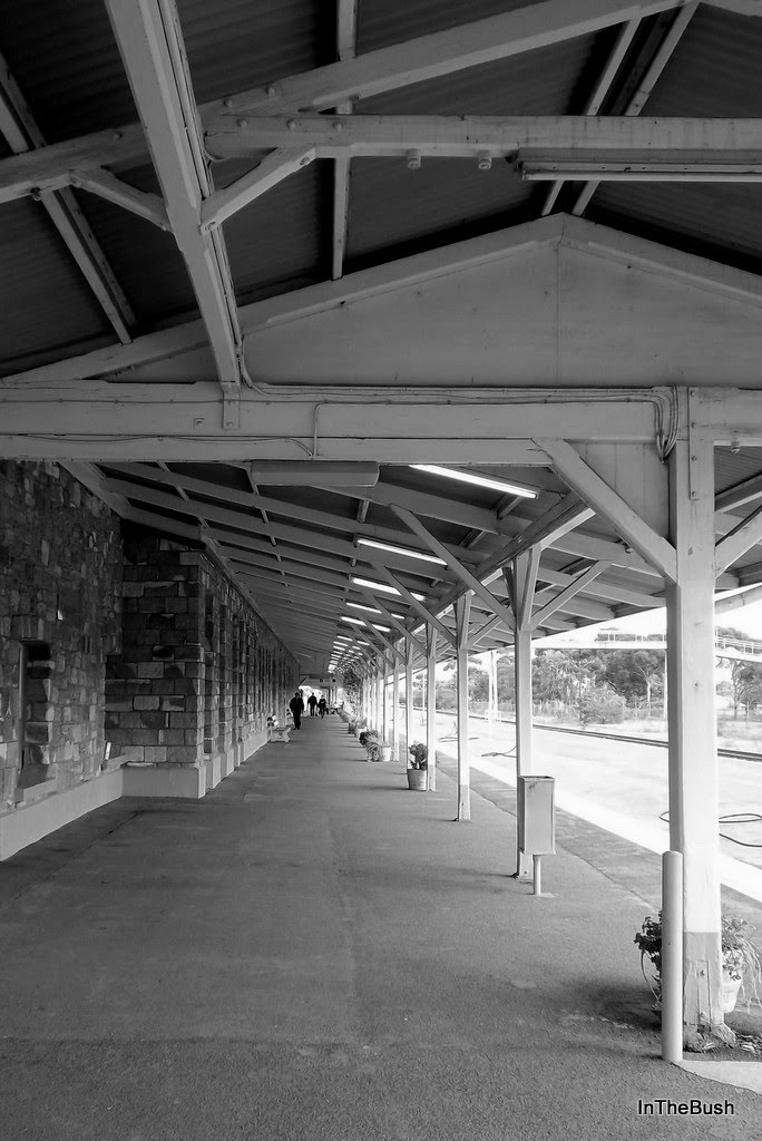 Kalgoorlie Railway Station platform, Калгурли
