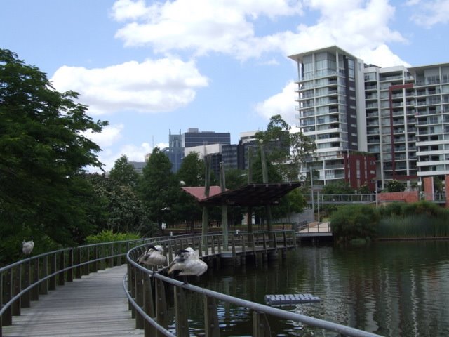 0566 Brisbane, Roma Street Parkland, Брисбен