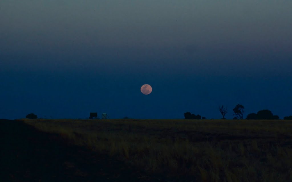 Moonrise in Outback / QLD (Sep. 1979), Бундаберг